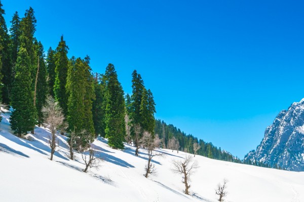 KASHMIR 3N 4D Sonamarg- Gulmarg - Srinagar